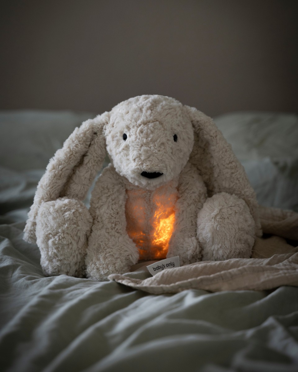 Bibi the Cuddle Bunny with sleep trainer