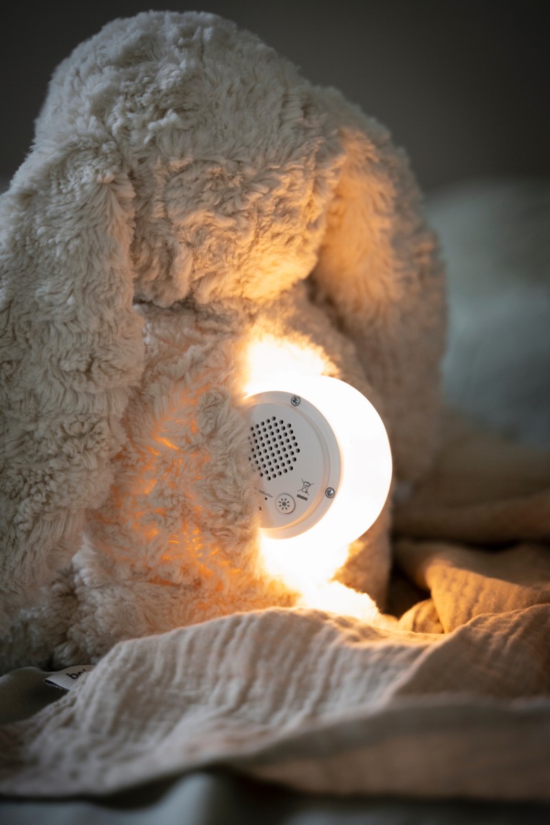 Bibi the Cuddle Bunny with sleep trainer