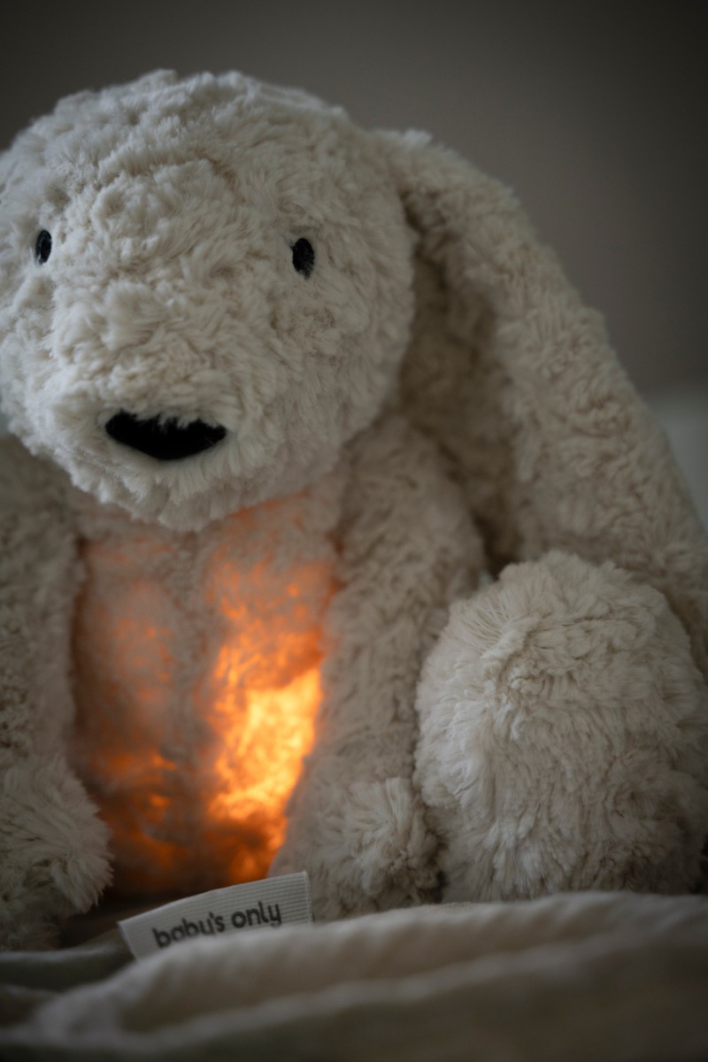 Bibi the Cuddle Bunny with sleep trainer