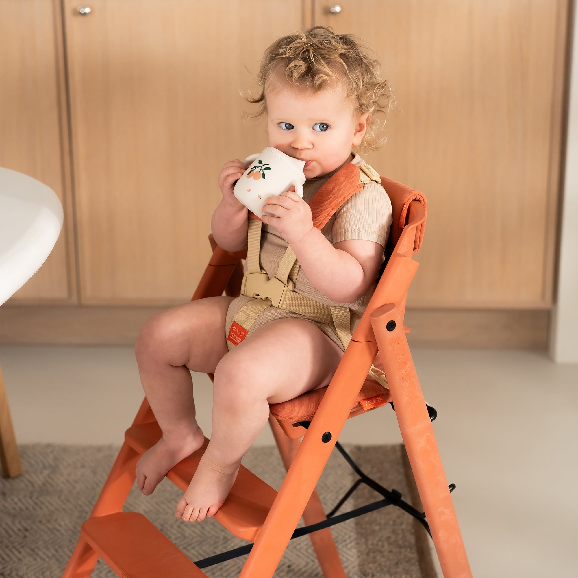 KLAPP Jr. Harness & Cushion Set