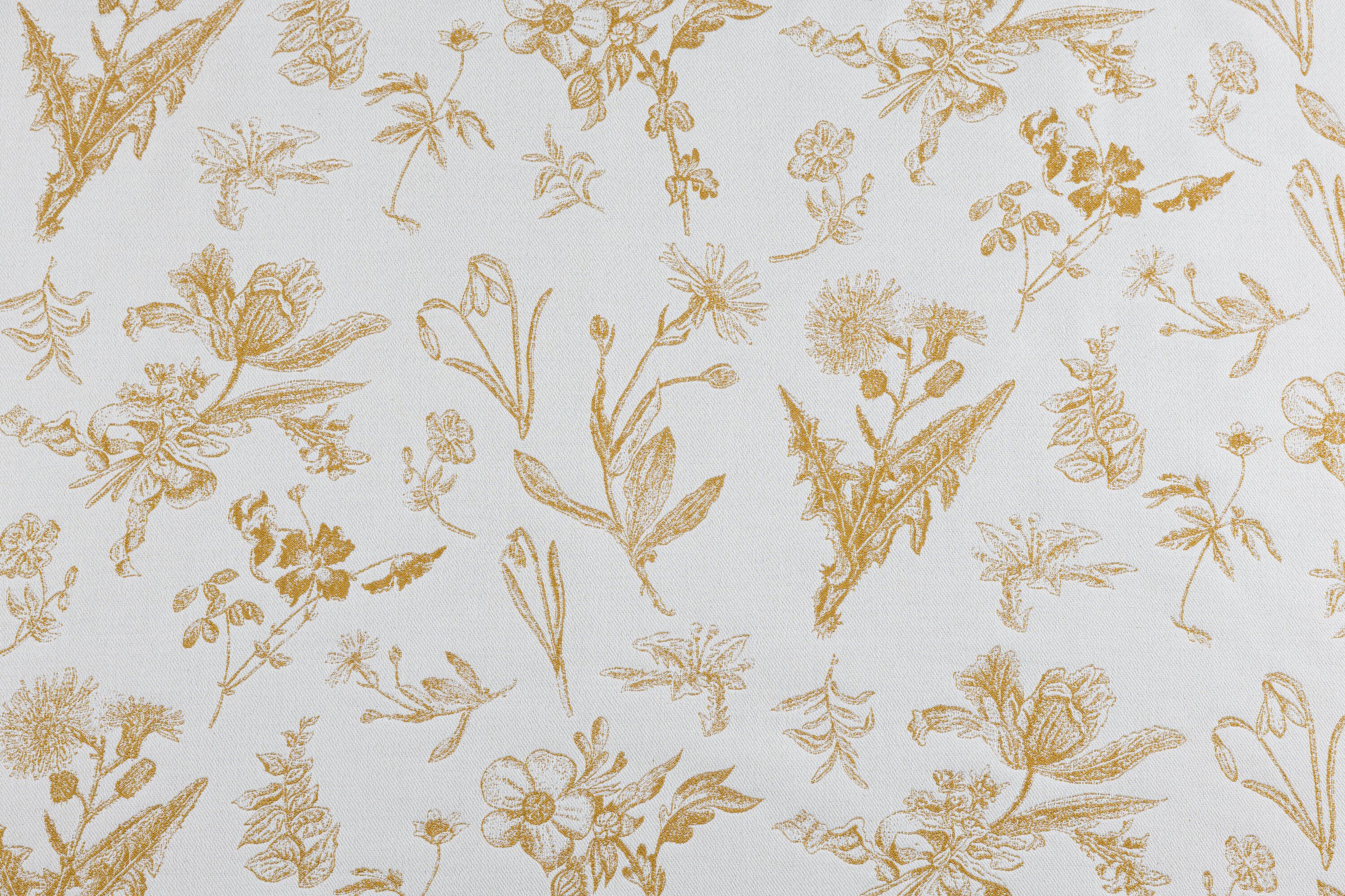 LennyLight kandekott, HERBARIUM - AMBRA