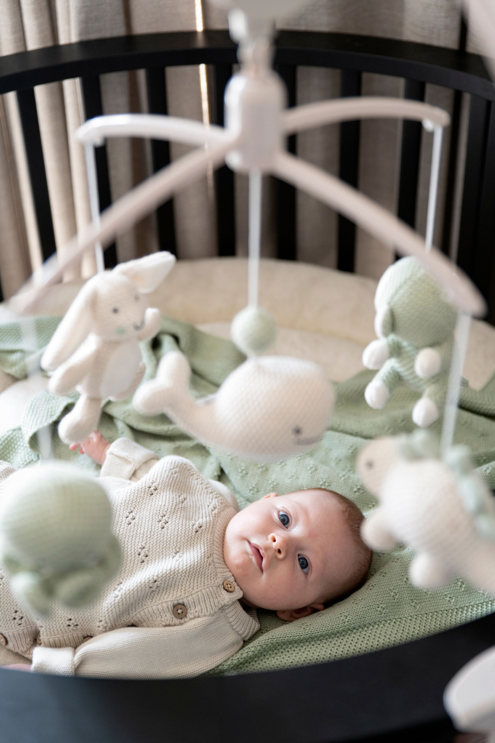 Voodikarussell Loomad (roheline)