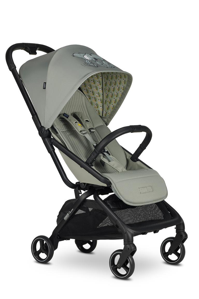 Peanuts by Easywalker