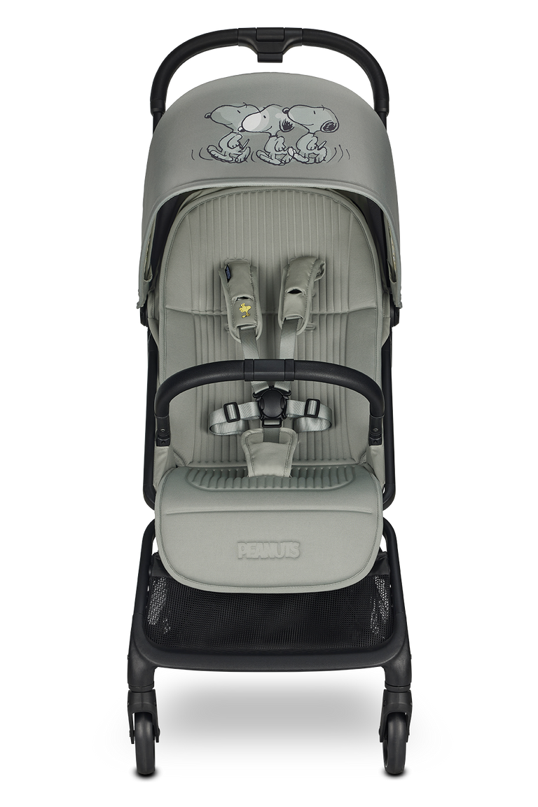 Peanuts by Easywalker