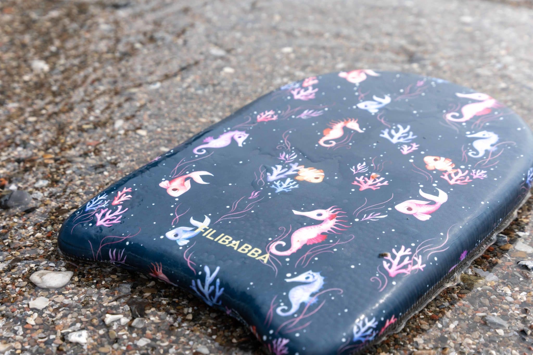 Filibabba veelaud Rainbow Reef