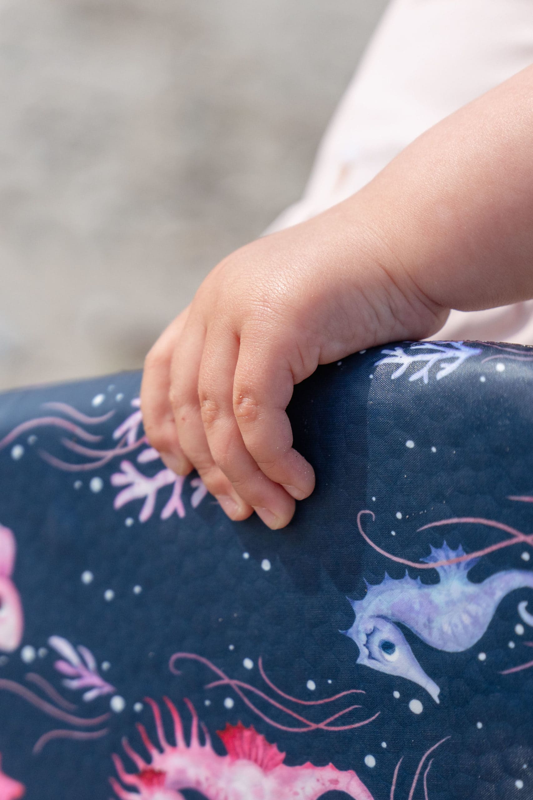 Filibabba veelaud Rainbow Reef