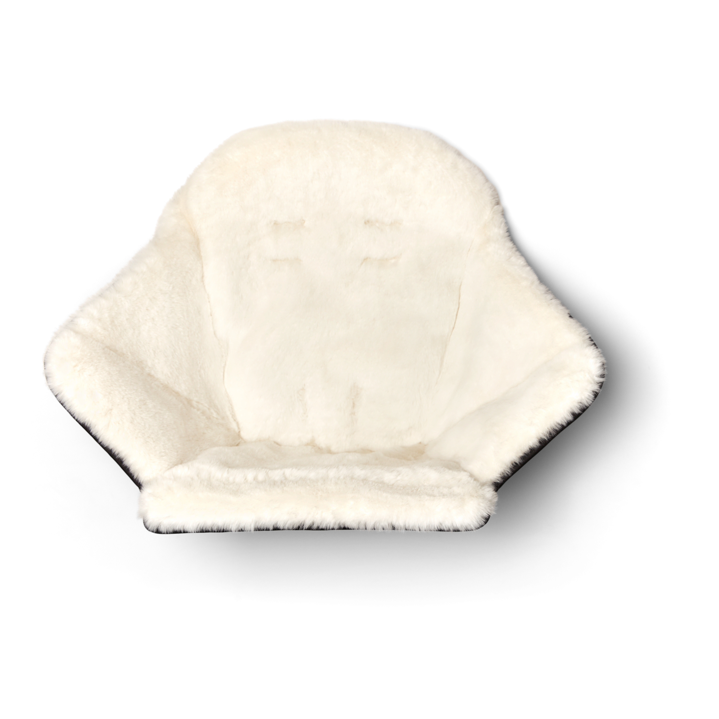 Veer Cruiser lambanahast istmepehmendus