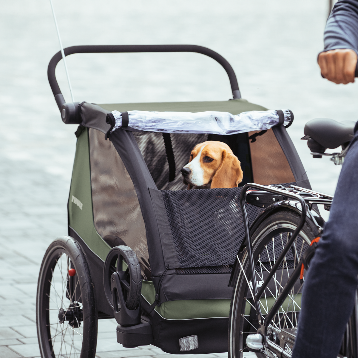 Thule Courier jalgrattahaagis
