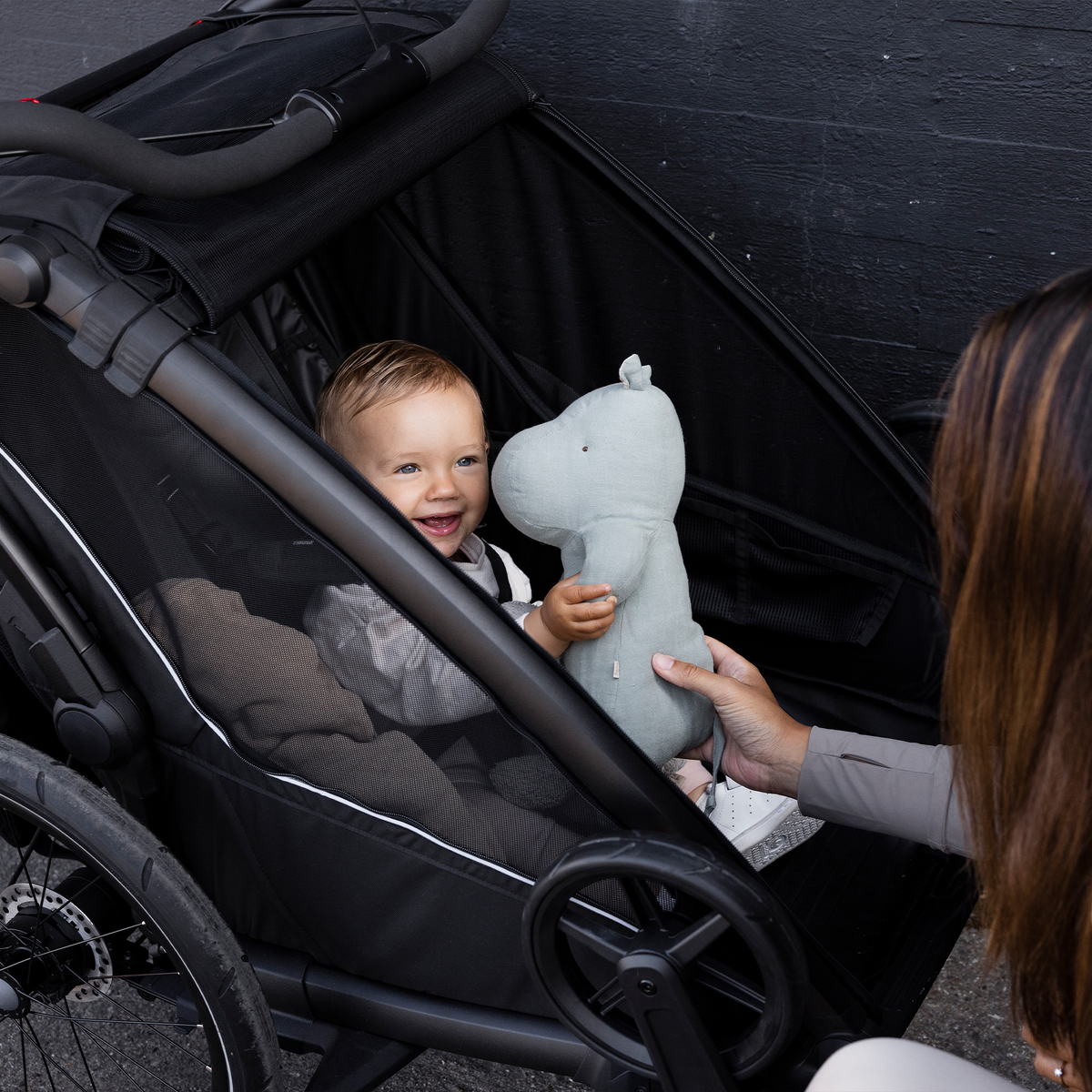 Thule Chariot Sport 2 single jalgrattahaagis