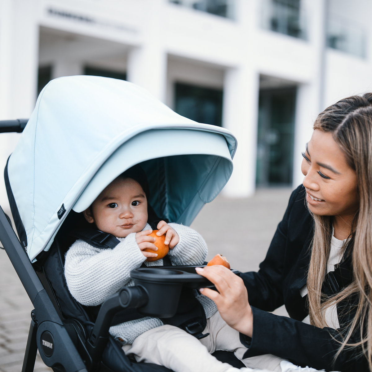Thule Sleek/Shine snäkikandik