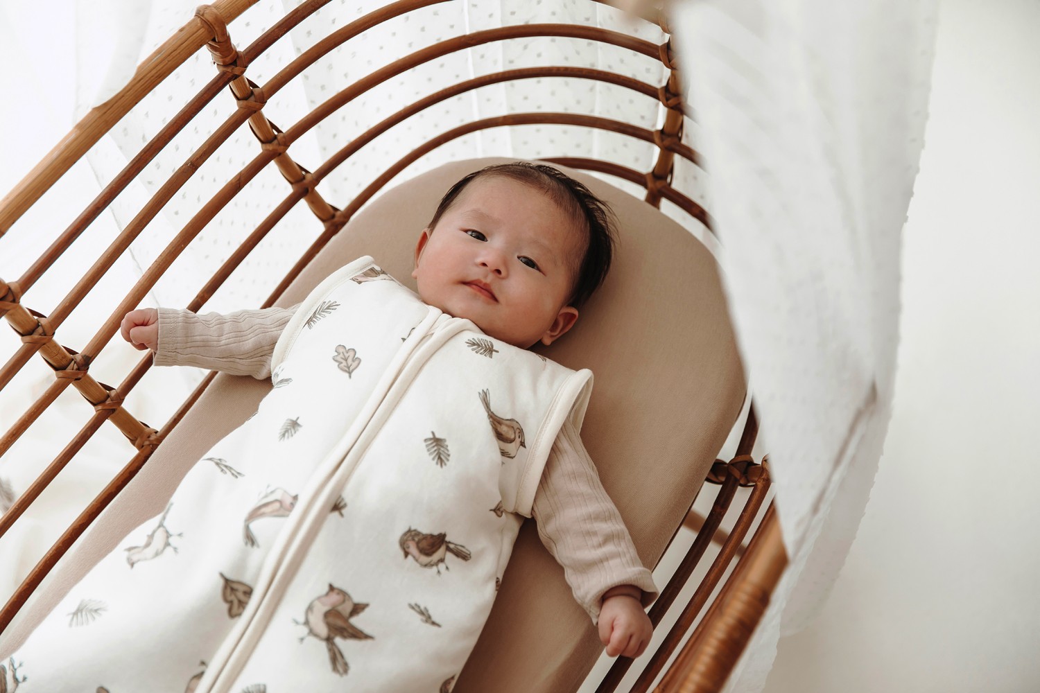 BABY SLEEPING BAG WITH DETACHABLE SLEEVES ROBIN - MULTICOLOUR