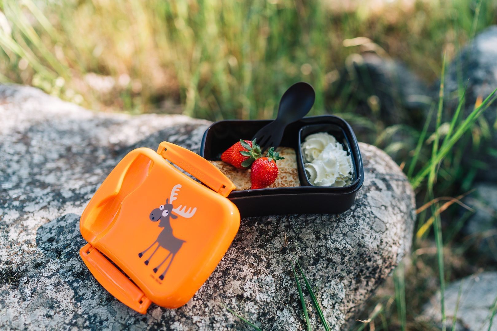 N'ice Box Kids, Lunch box with cooling pack