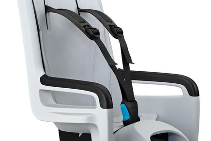 Thule RideAlong 2 frame mount