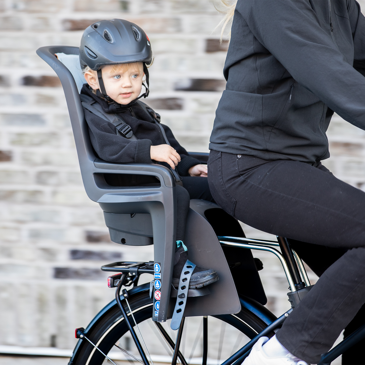 Thule RideAlong 2 frame mount